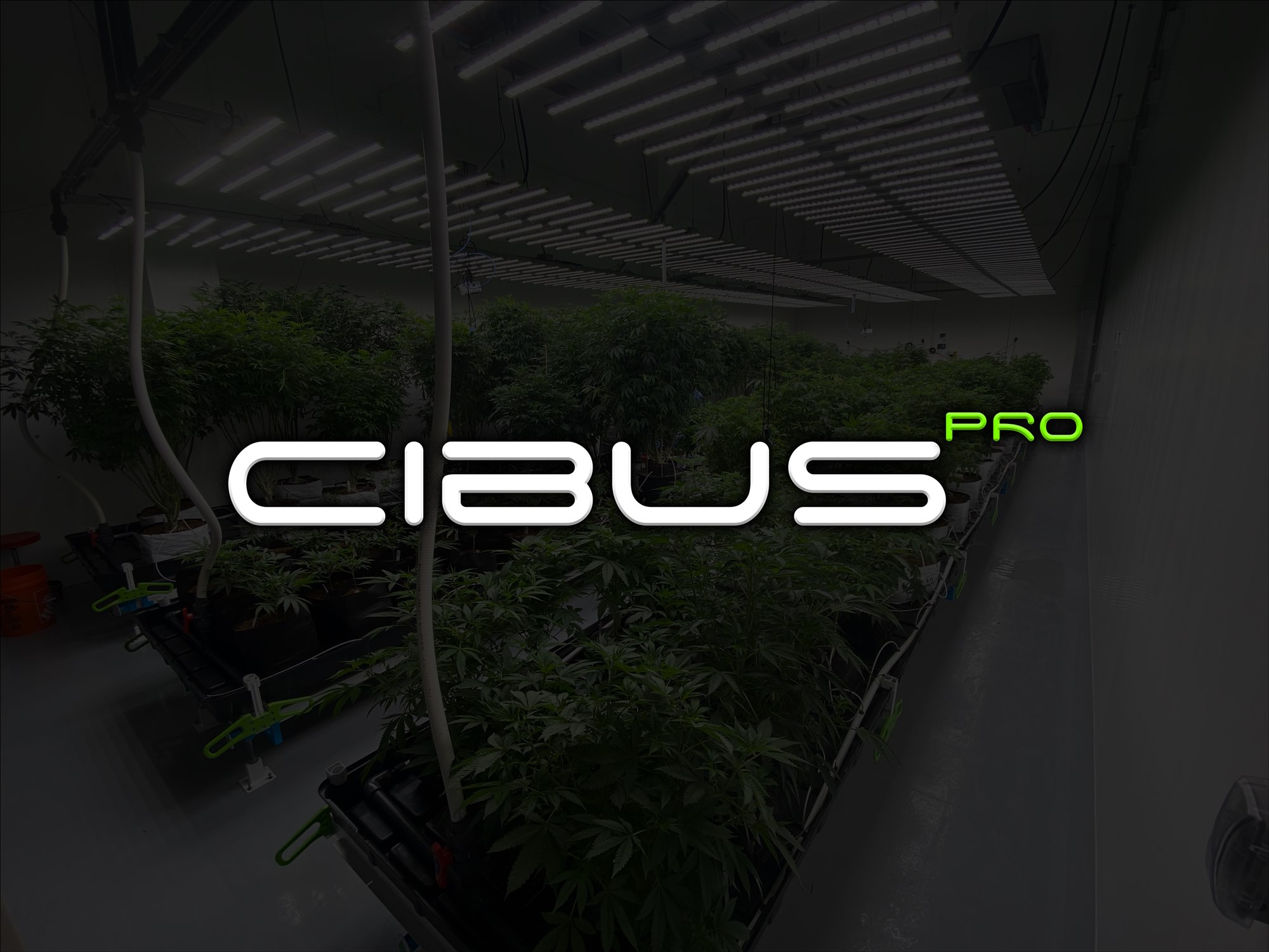 CibusPRO cultivation lighting installation